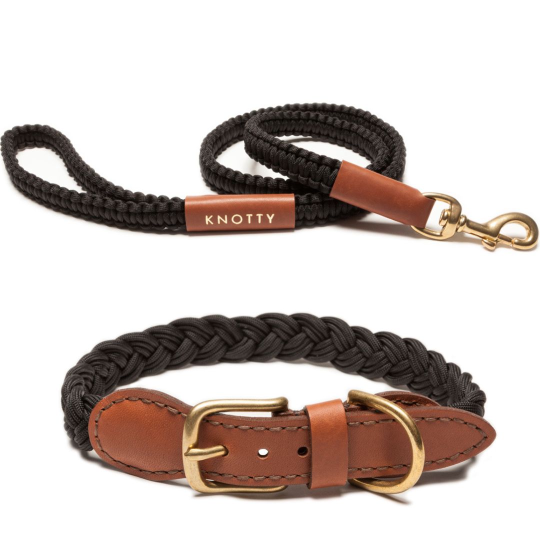 Braided Collar & Leash Set - Classic