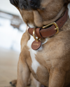 Rope Collar - Peach