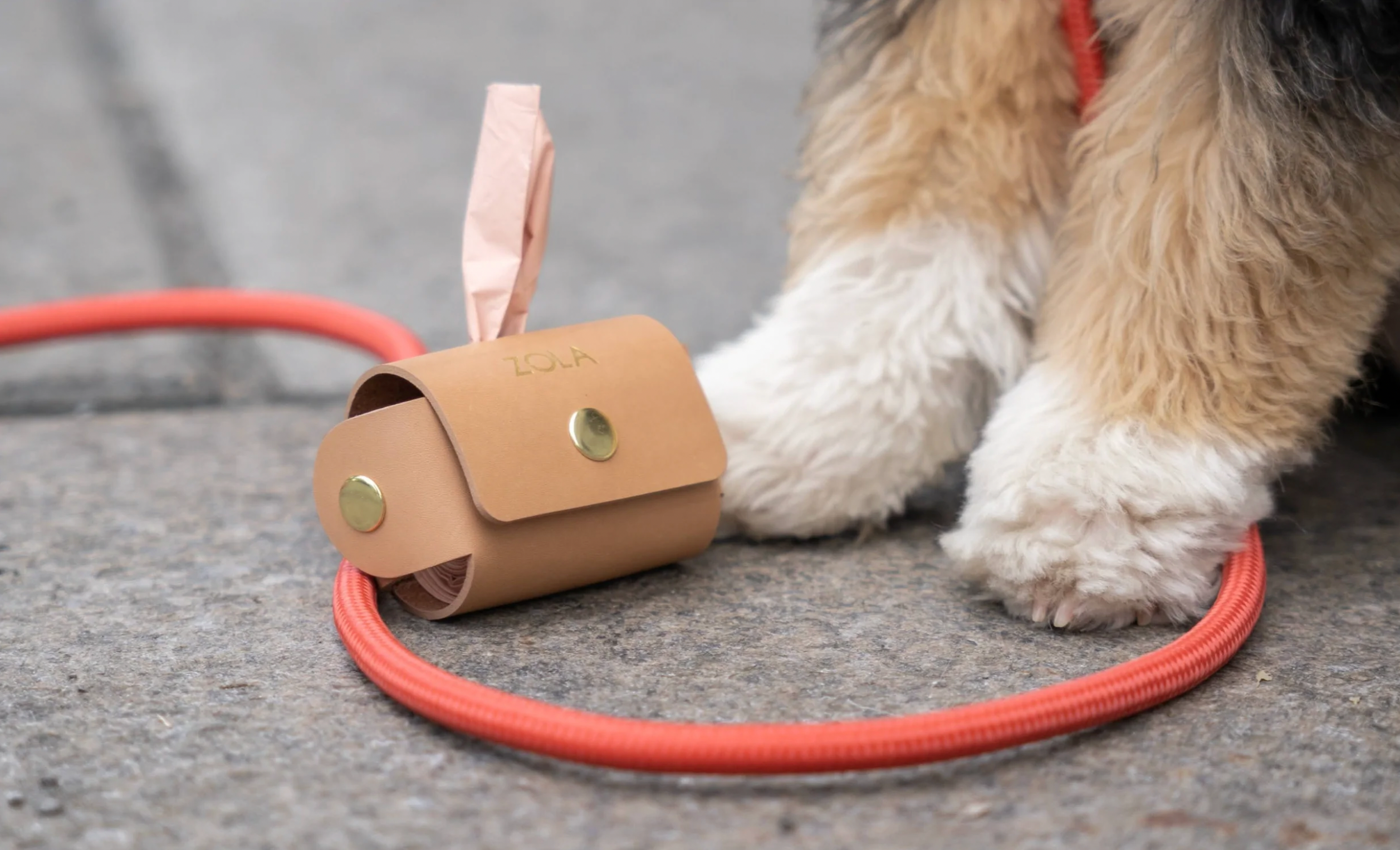 Rope Leash – Peach