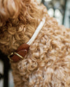 Adjustable Rope Collar - Champagne