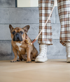 Knotty Pets Gift Card