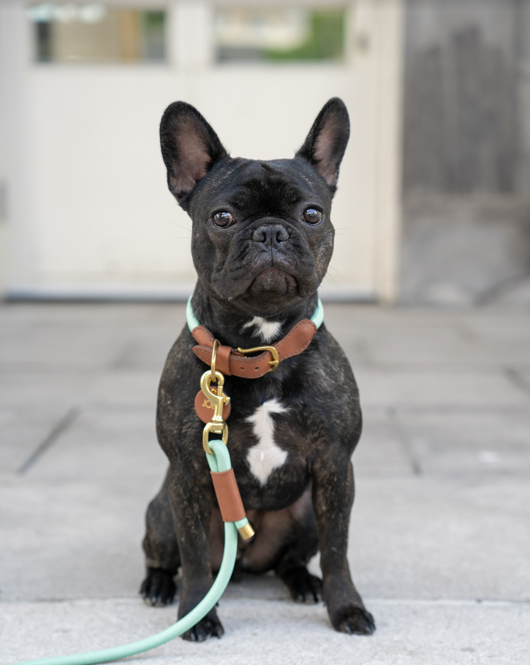 Rope Collar & Leash Set - Mint
