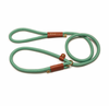 Training Leash Mint