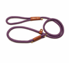Training Leash Grape