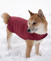 Reversible Puffy Jkt Burgundy