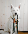Braided Collar - Olive
