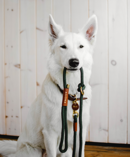 Braided Collar & Leash Set - Mint– Knotty Pets