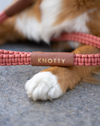Braided Knotty Leash - Peach