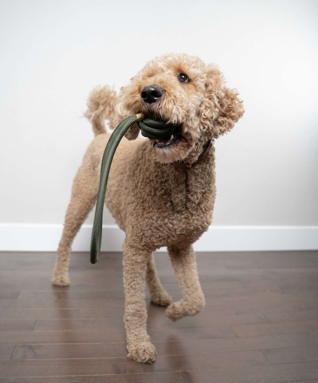 Rope Toy Olive