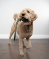 Rope Toy Olive