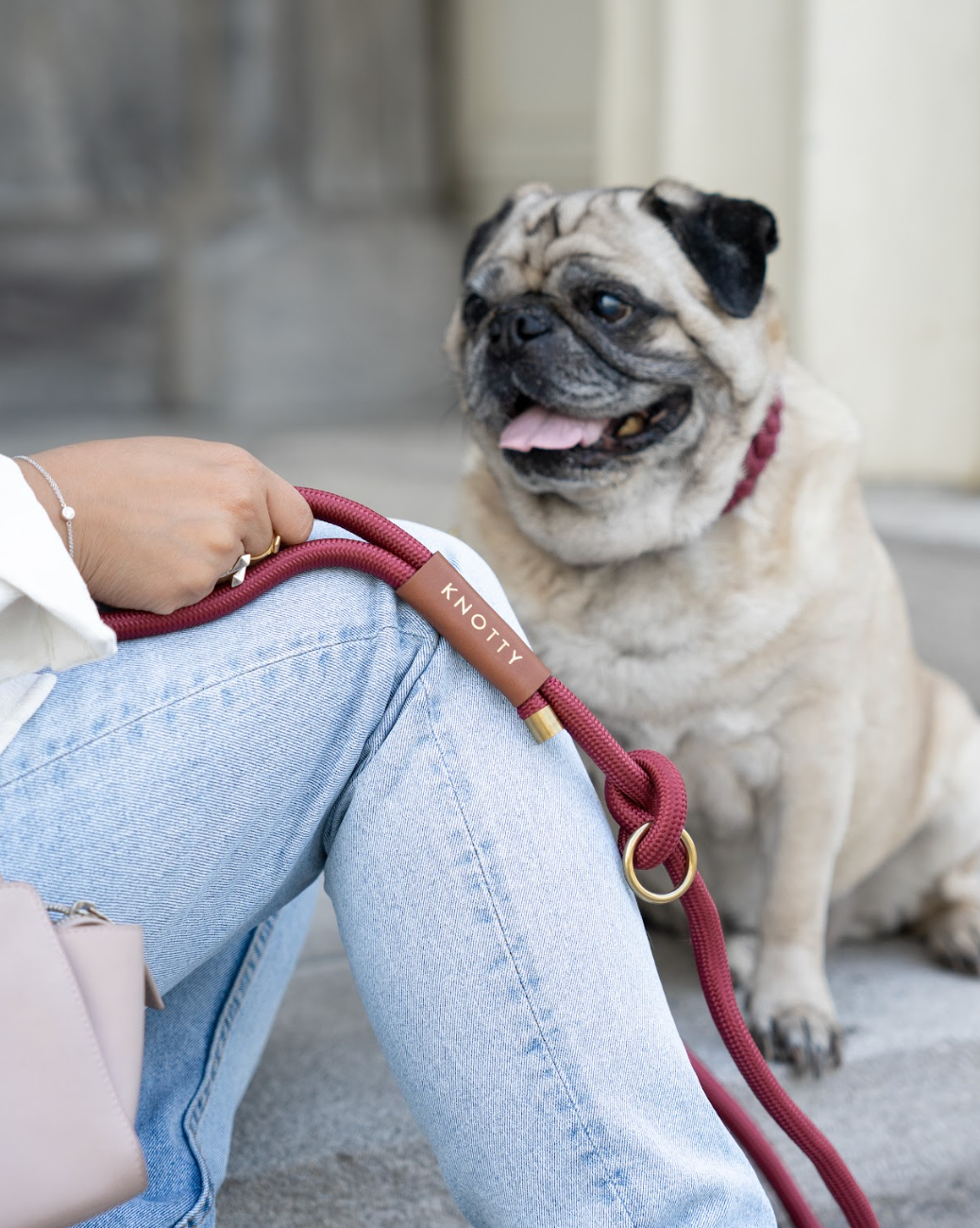 Rope Leash – Wine