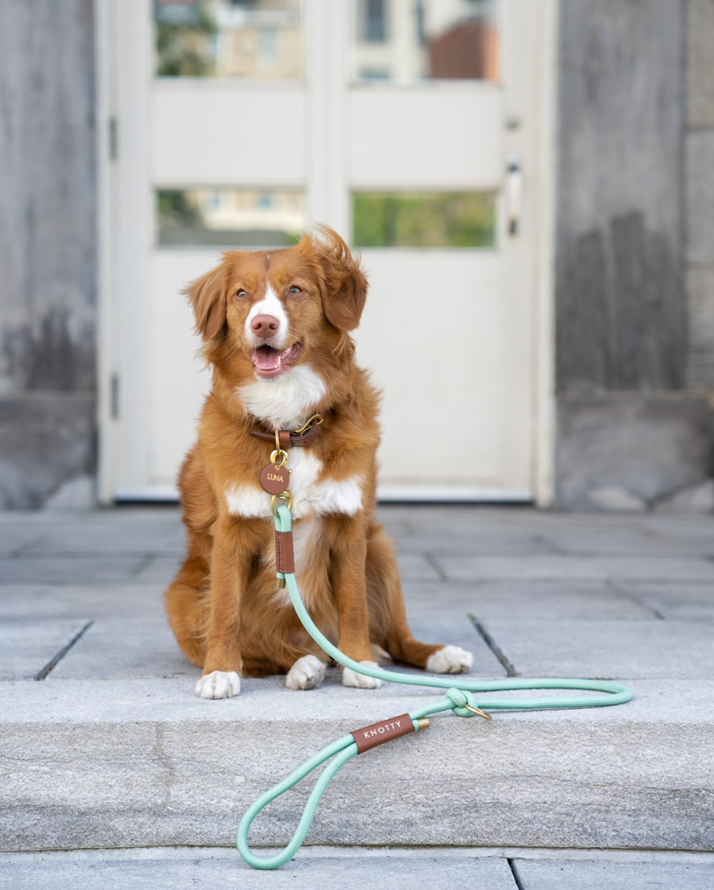 Braided Collar & Leash Set - Mint– Knotty Pets