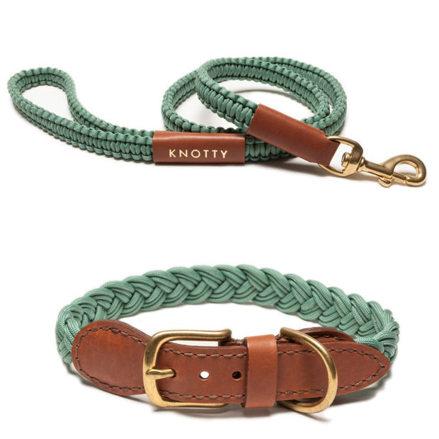 Braided Collar & Leash Set - Mint– Knotty Pets