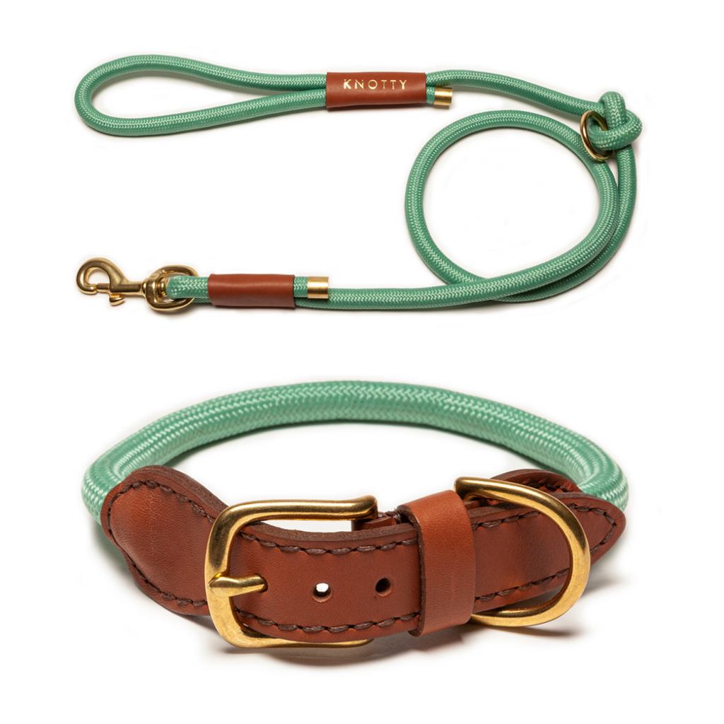 Braided Collar & Leash Set - Mint– Knotty Pets